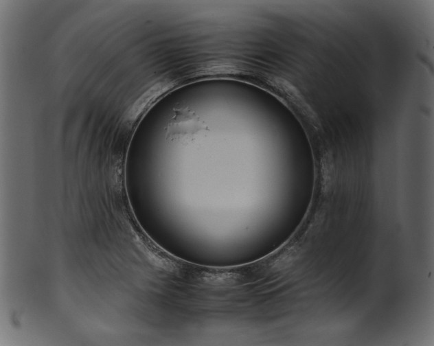 X0000101991225200807181140