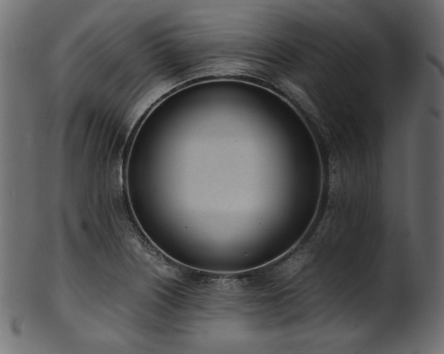 X0000101991226200807181140