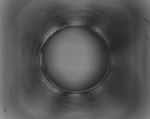X0000101991227200807181140