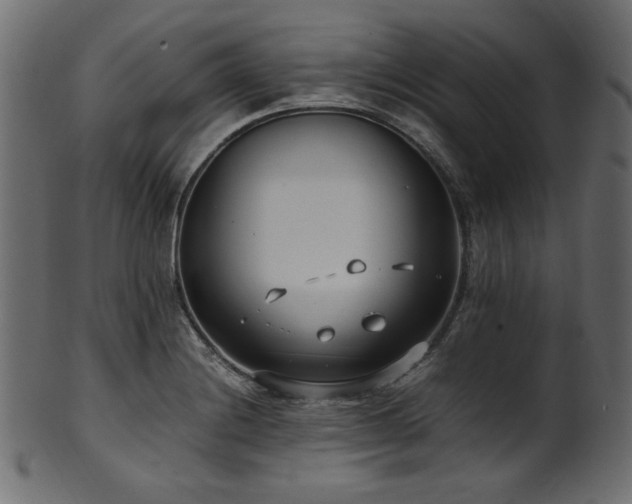X0000101991228200807181140
