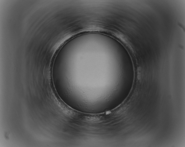 X0000101991229200807181140