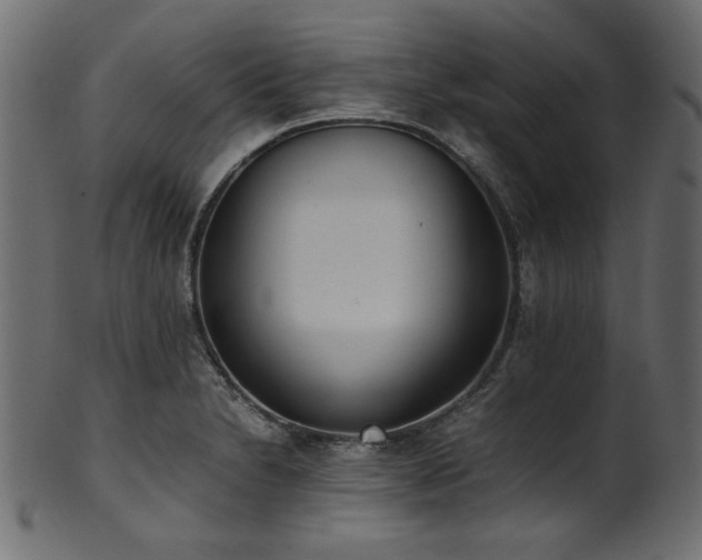 X0000101991230200807181140