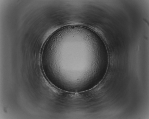 X0000101991231200807181140