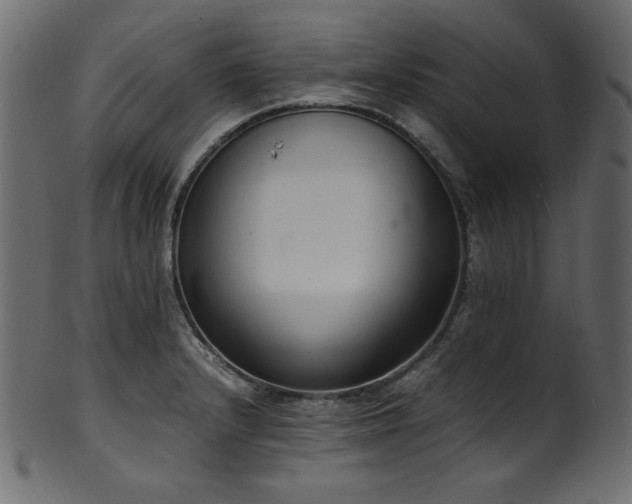 X0000101991232200807181140