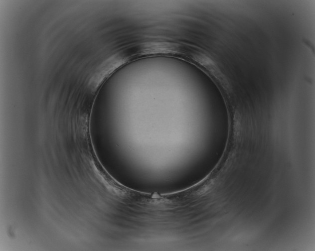 X0000101991233200807181140