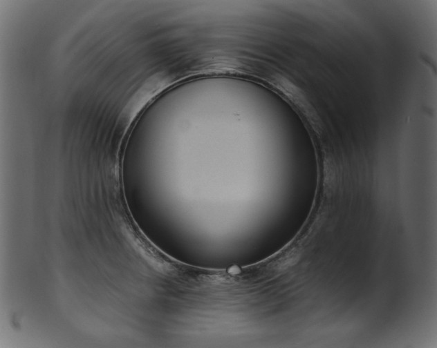 X0000101991234200807181140