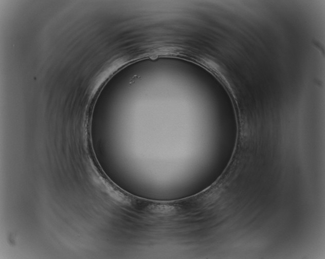 X0000101991235200807181140
