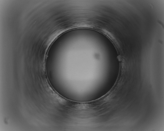 X0000101991236200807181140
