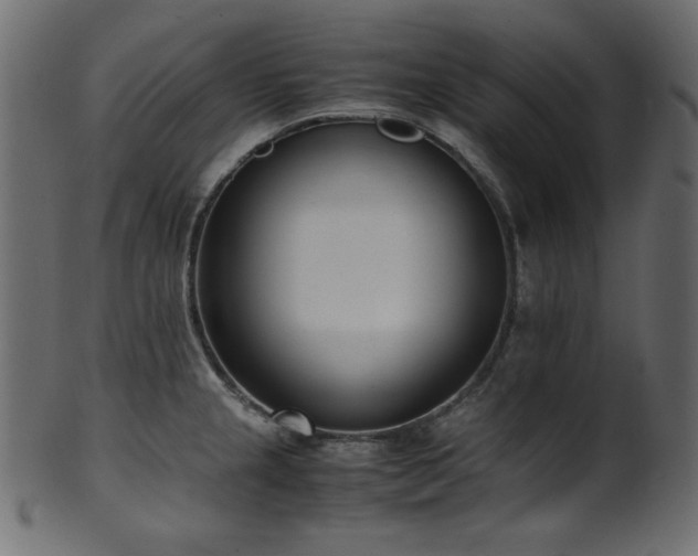 X0000101991237200807181140