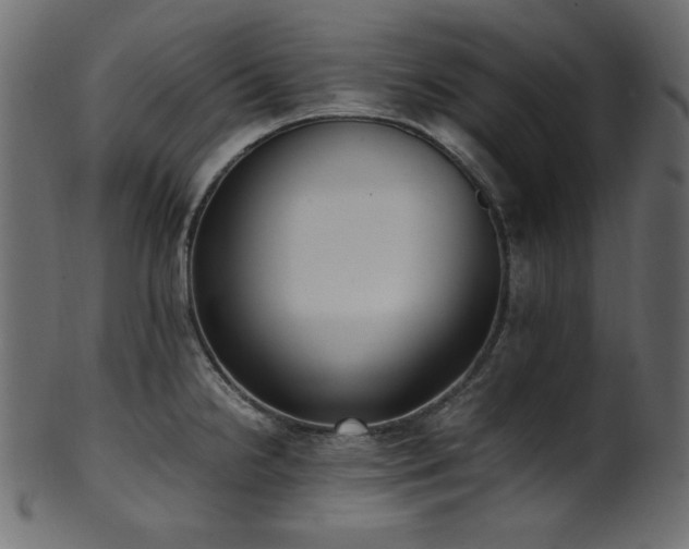 X0000101991238200807181140