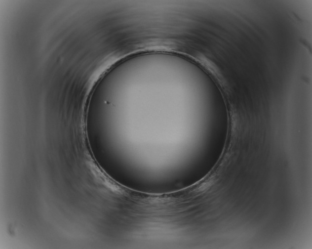 X0000101991240200807181140