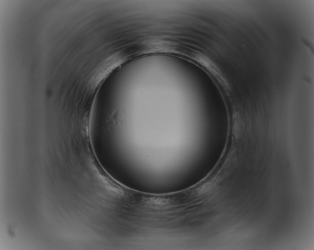 X0000101991241200807181140