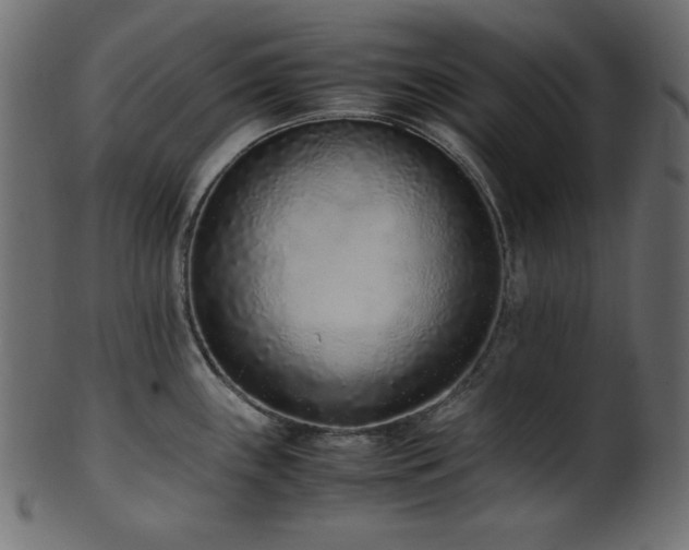 X0000101991243200807181140