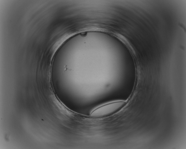 X0000101991244200807181140