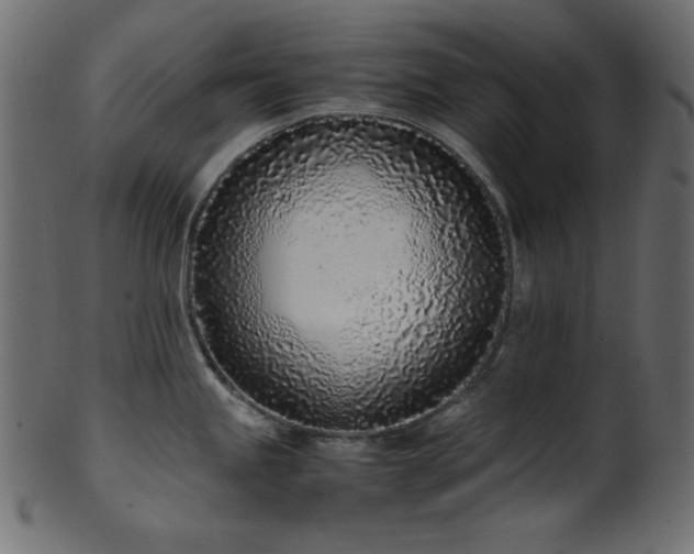 X0000101991245200807181141