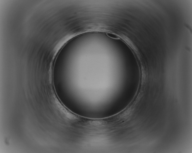 X0000101991246200807181141