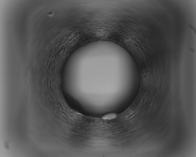 X0000101991249200807181140
