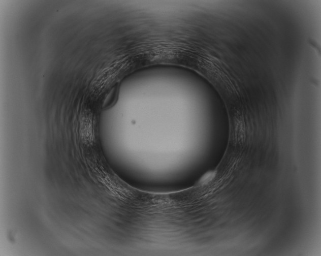 X0000101991250200807181140