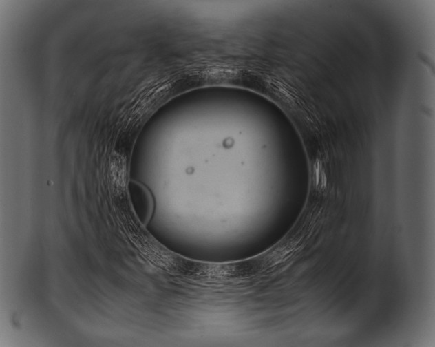 X0000101991251200807181140
