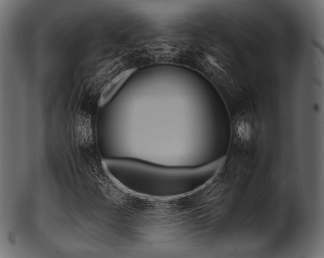 X0000101991252200807181140