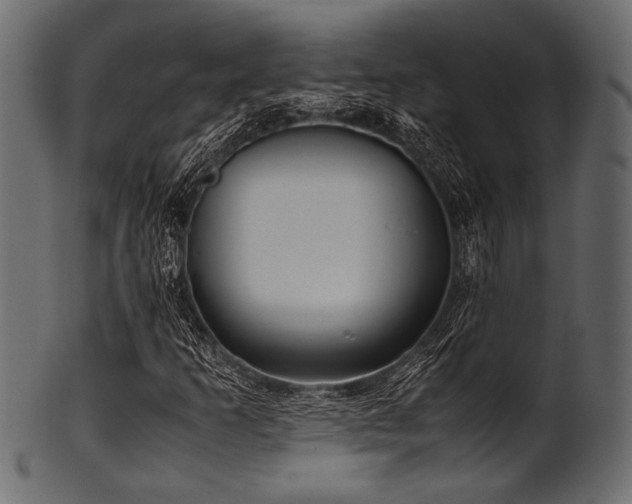 X0000101991253200807181140