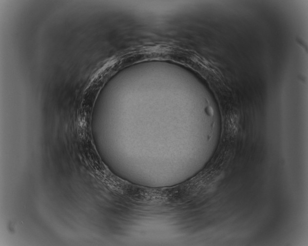 X0000101991254200807181140