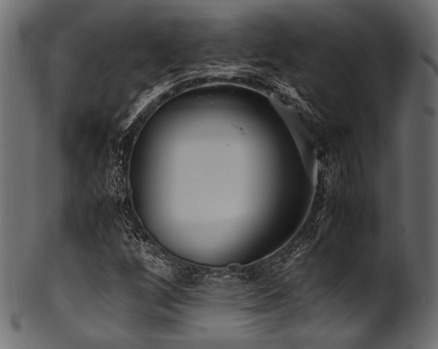 X0000101991256200807181140