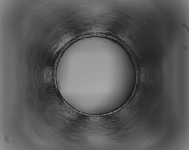 X0000101991258200807181140