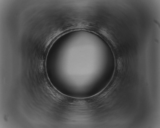X0000101991260200807181140