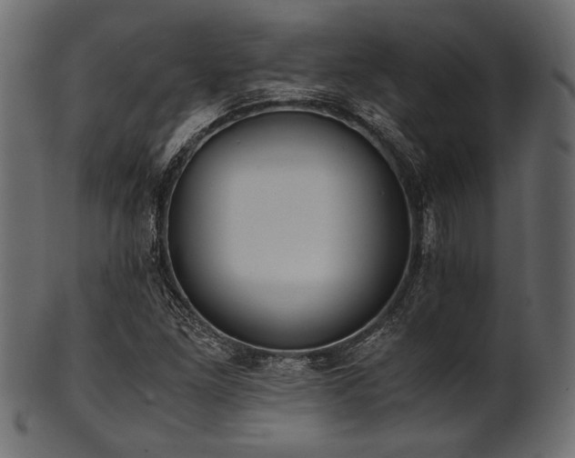 X0000101991261200807181140