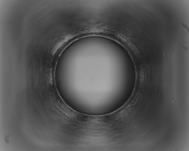 X0000101991262200807181140