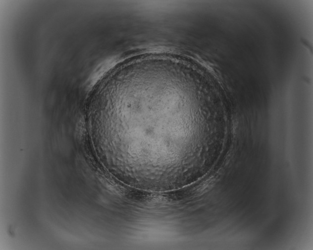 X0000101991263200807181140