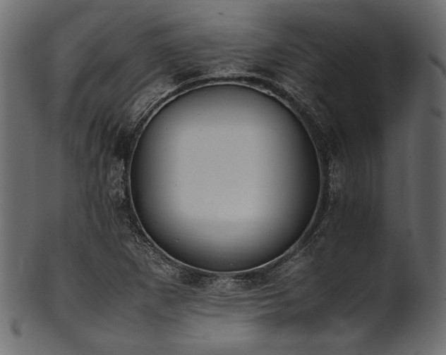 X0000101991265200807181140