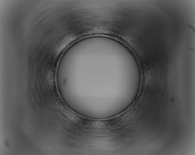 X0000101991266200807181140