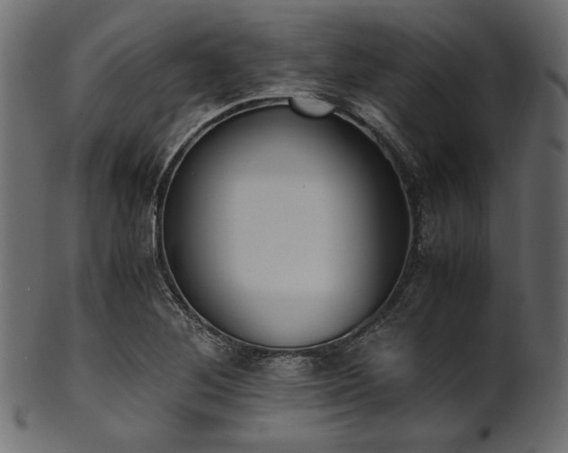 X0000101991268200807181140