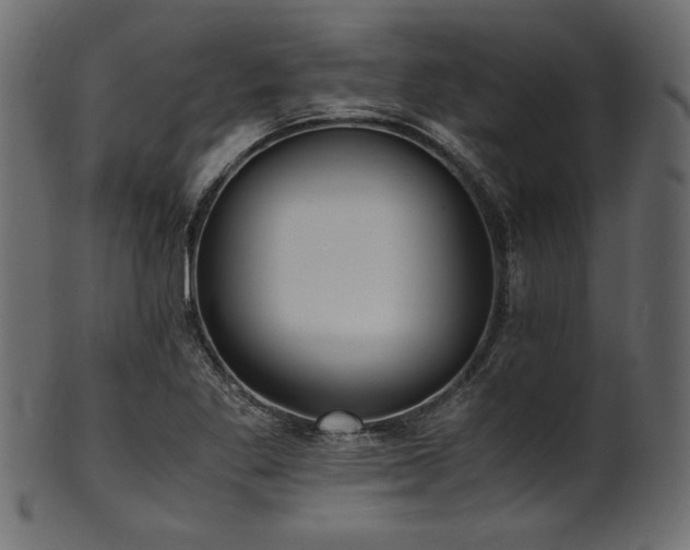 X0000101991269200807181140