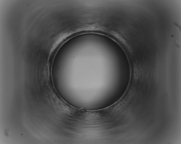 X0000101991270200807181140