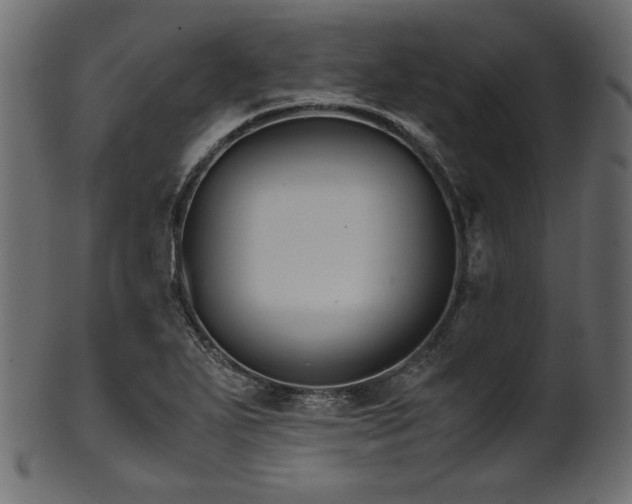 X0000101991271200807181140