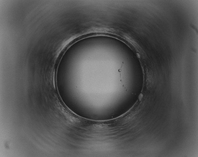 X0000101991272200807181140