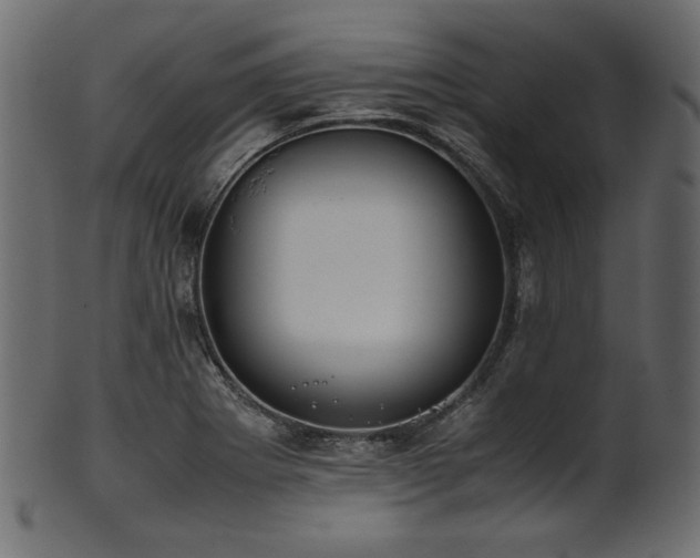 X0000101991273200807181140