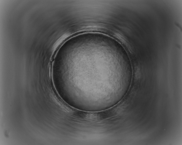 X0000101991275200807181139