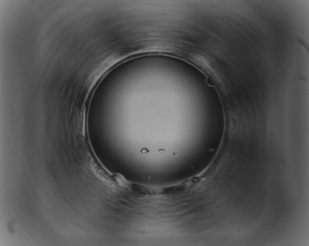 X0000101991276200807181139