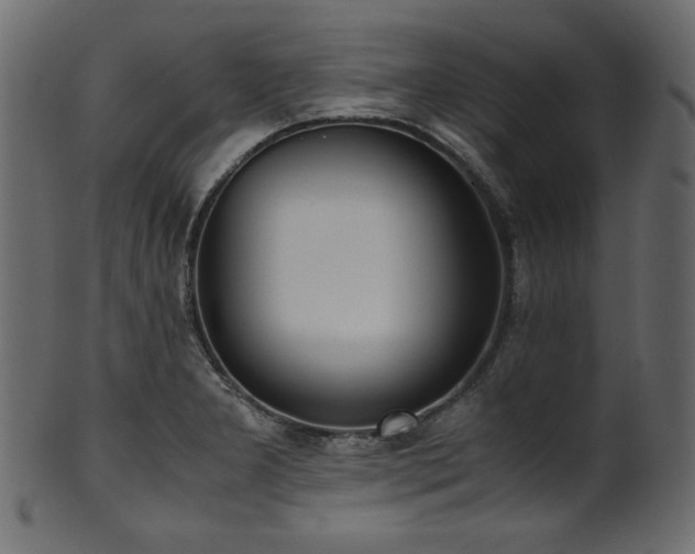 X0000101991277200807181139
