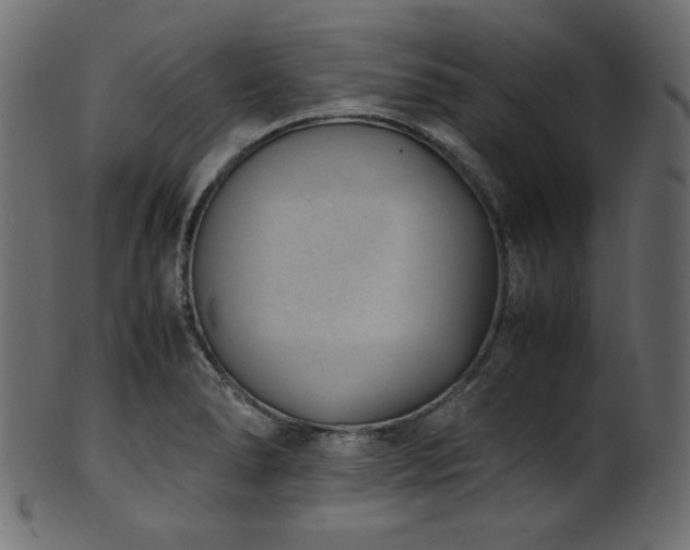 X0000101991278200807181139