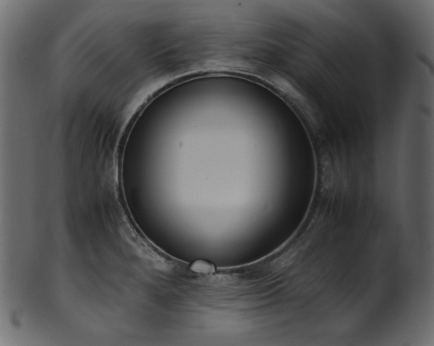 X0000101991280200807181139