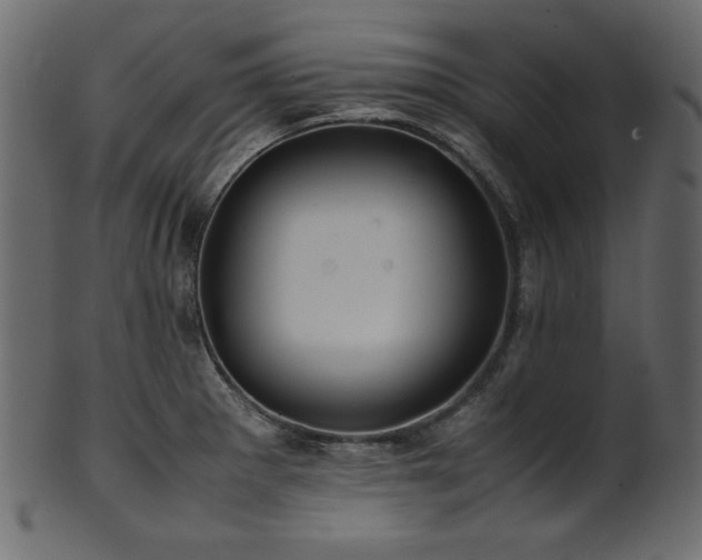 X0000101991281200807181139
