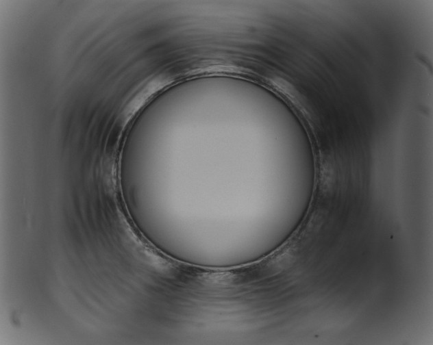 X0000101991282200807181139