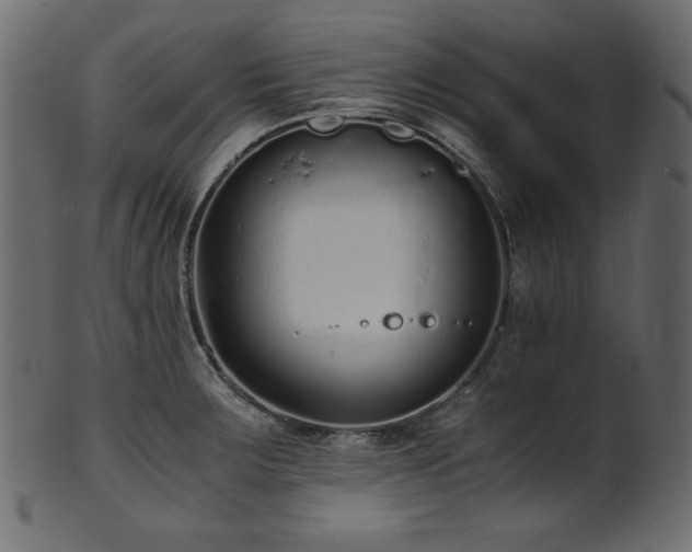 X0000101991283200807181139