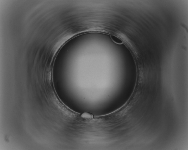 X0000101991284200807181139