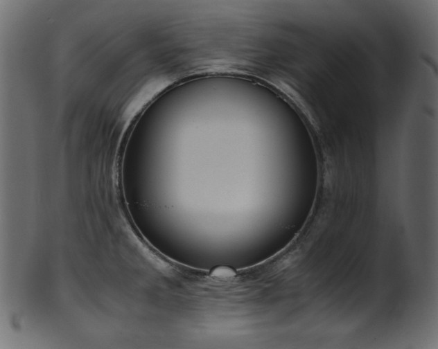X0000101991285200807181139
